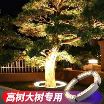 lampe solaire-decoration exterieur